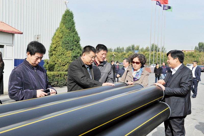 _在吳曉芬總工程師的帶領下，眾技術人員陪同各設計院的專家、總工、工程師們參觀了軍星集團生產園區。DSC0945