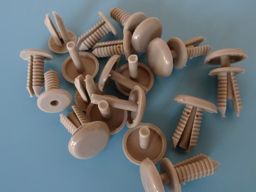 河北盛洋：積極進取  更創輝煌