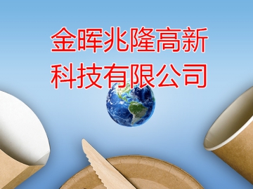 金暉兆?。恨D型升級的參與者、見證者和建設者