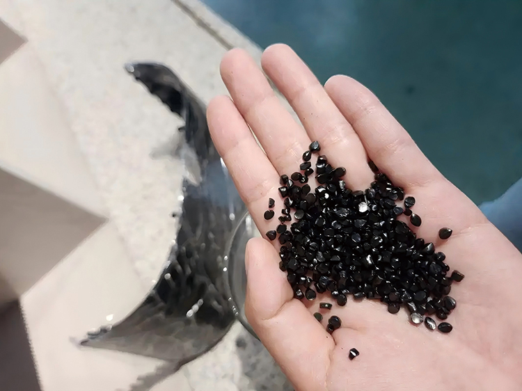 微信圖片_2026-01-21_174720_302